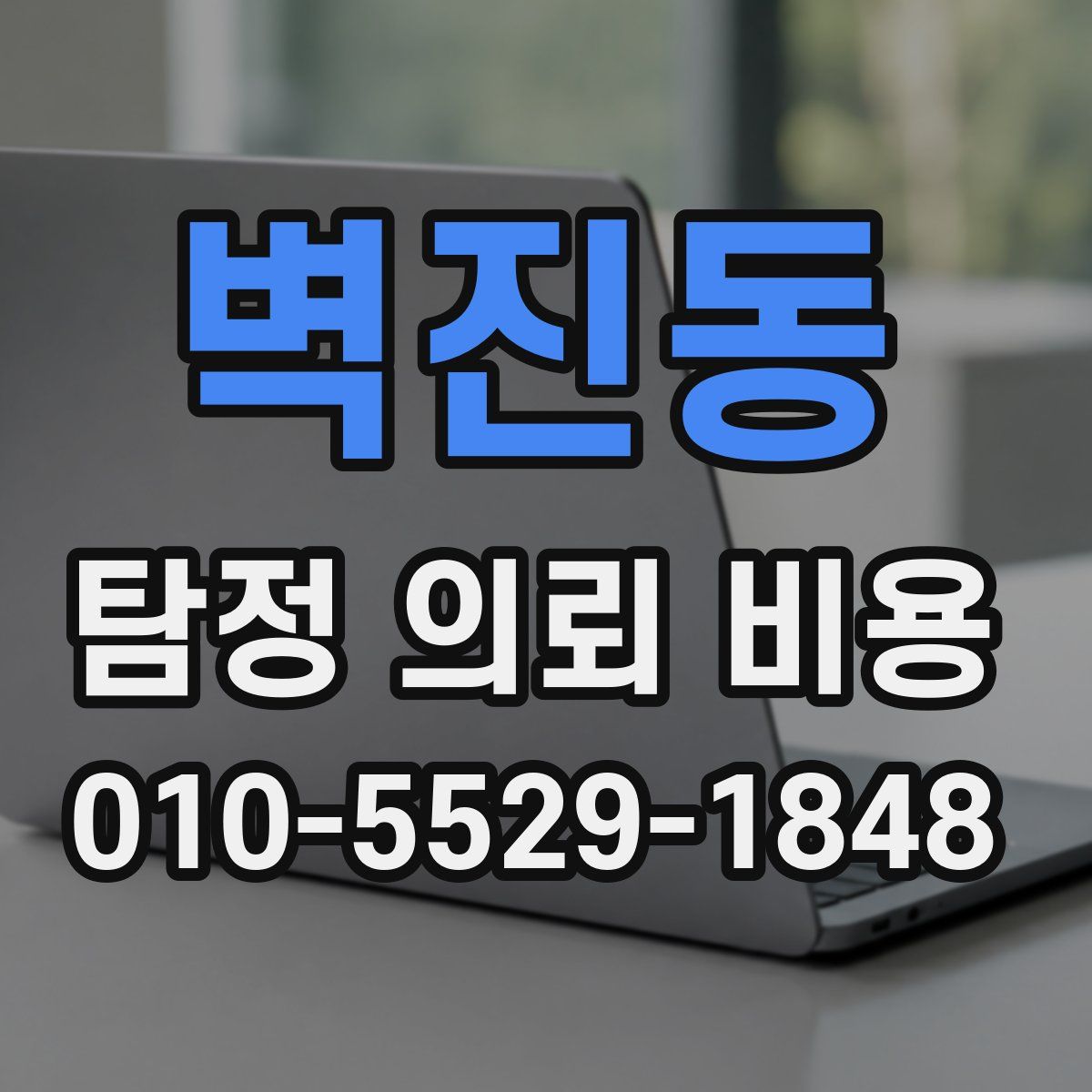 벽진동 탐정 의뢰 비용