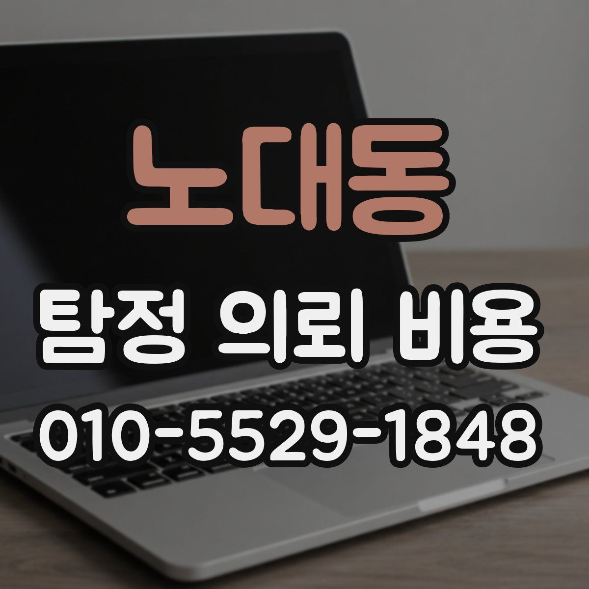 노대동 탐정 의뢰 비용