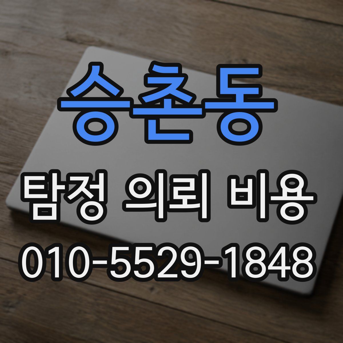 승촌동 탐정 의뢰 비용