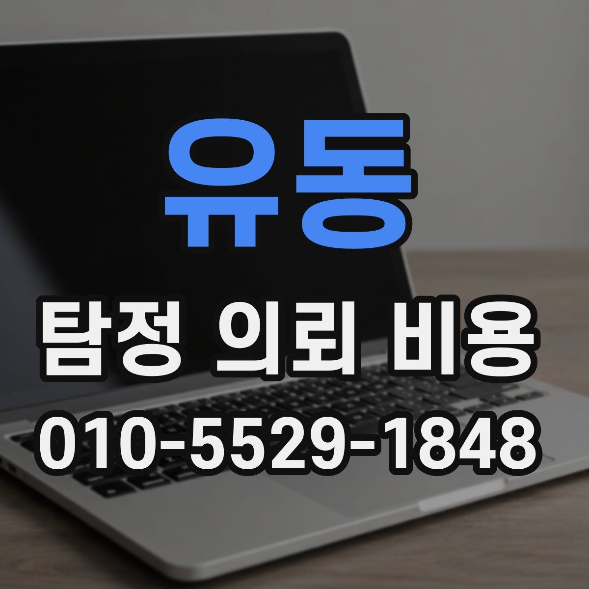 유동 탐정 의뢰 비용