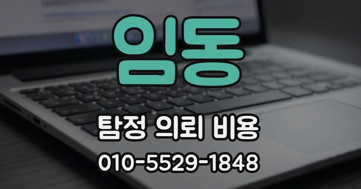 임동 탐정 의뢰 비용