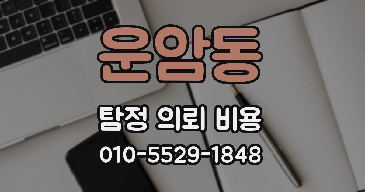 운암동 탐정 의뢰 비용