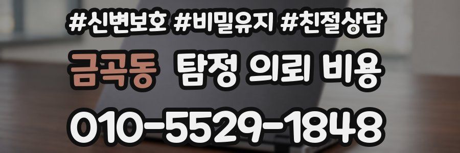 금곡동 탐정 의뢰 비용