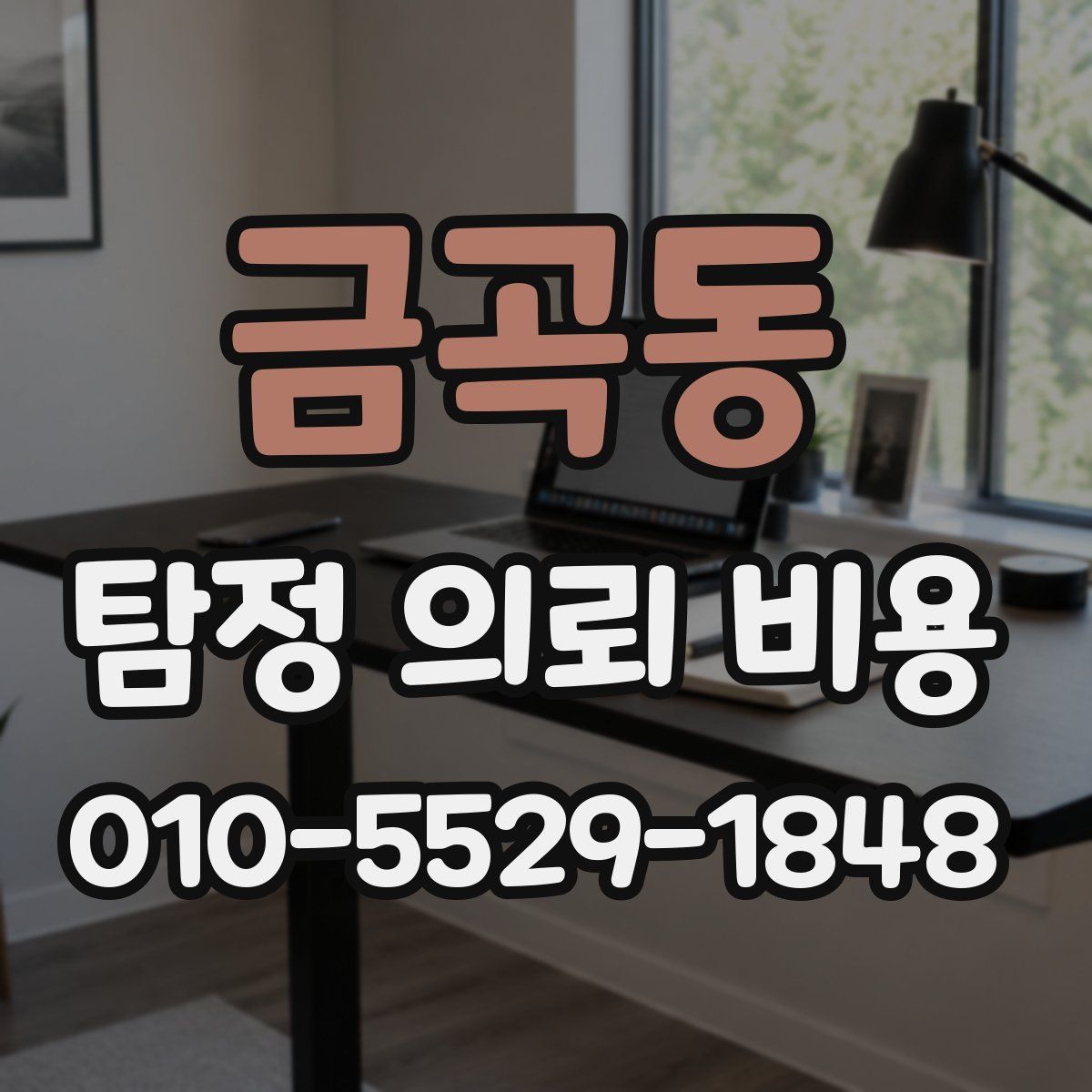 금곡동 탐정 의뢰 비용