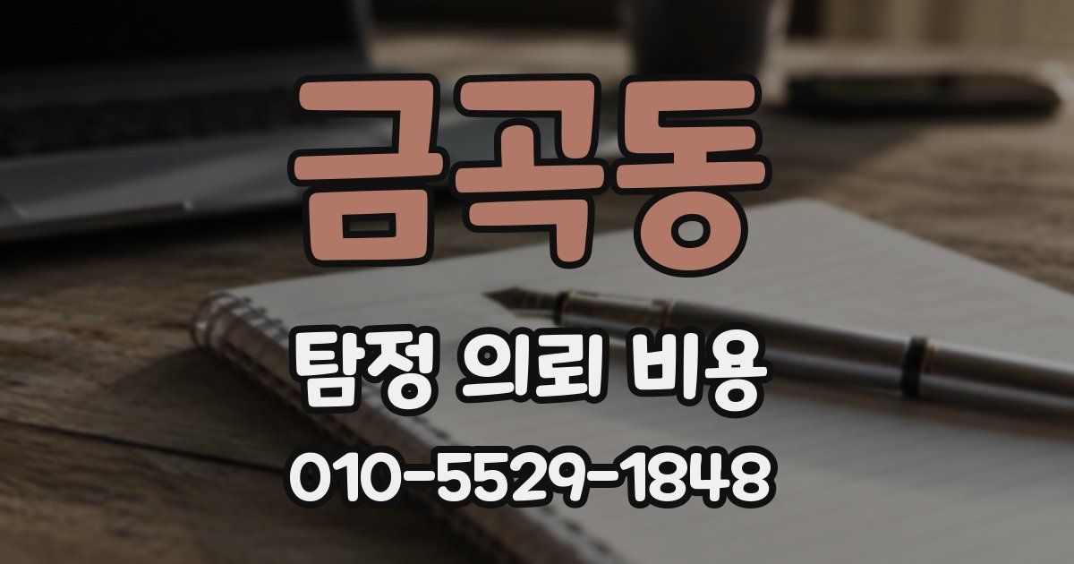 금곡동 탐정 의뢰 비용