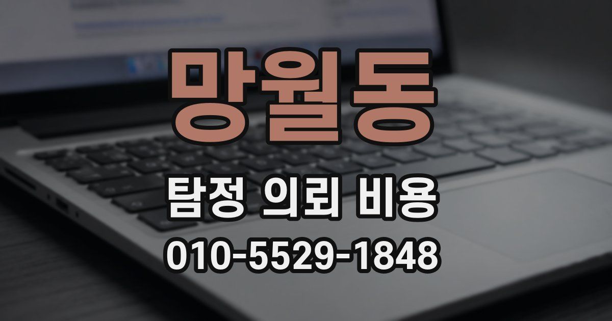 망월동 탐정 의뢰 비용