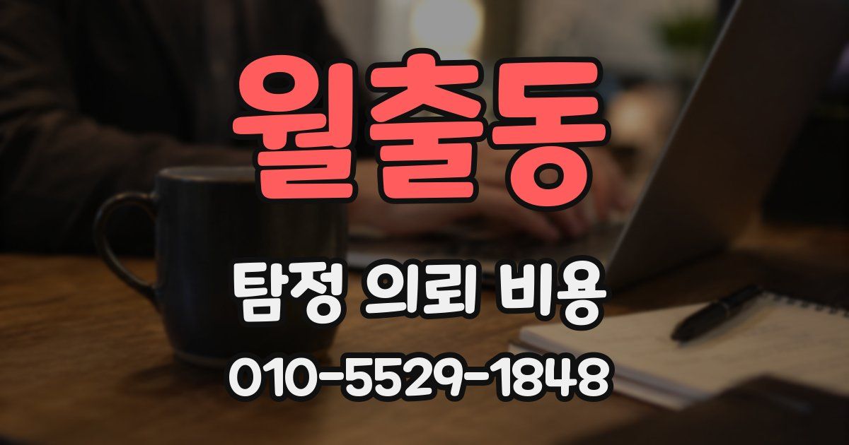 월출동 탐정 의뢰 비용