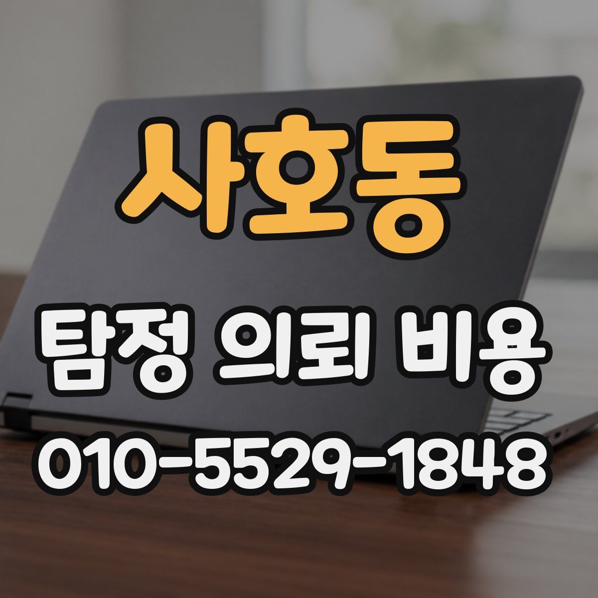 사호동 탐정 의뢰 비용