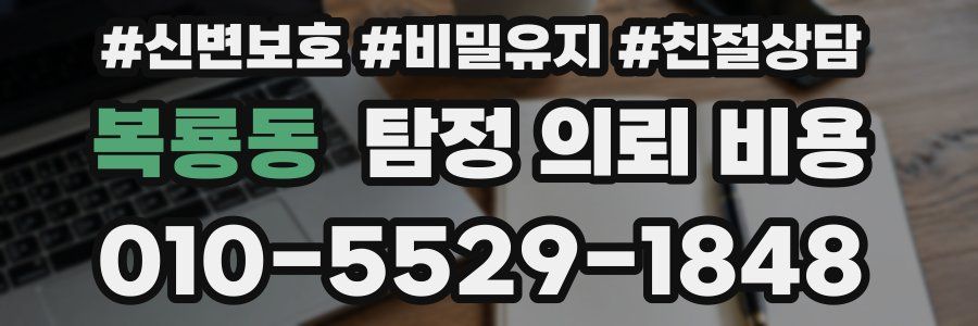 복룡동 탐정 의뢰 비용