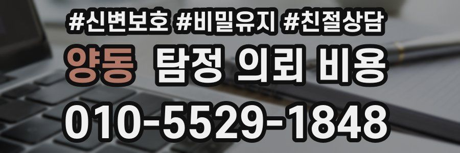 양동 탐정 의뢰 비용