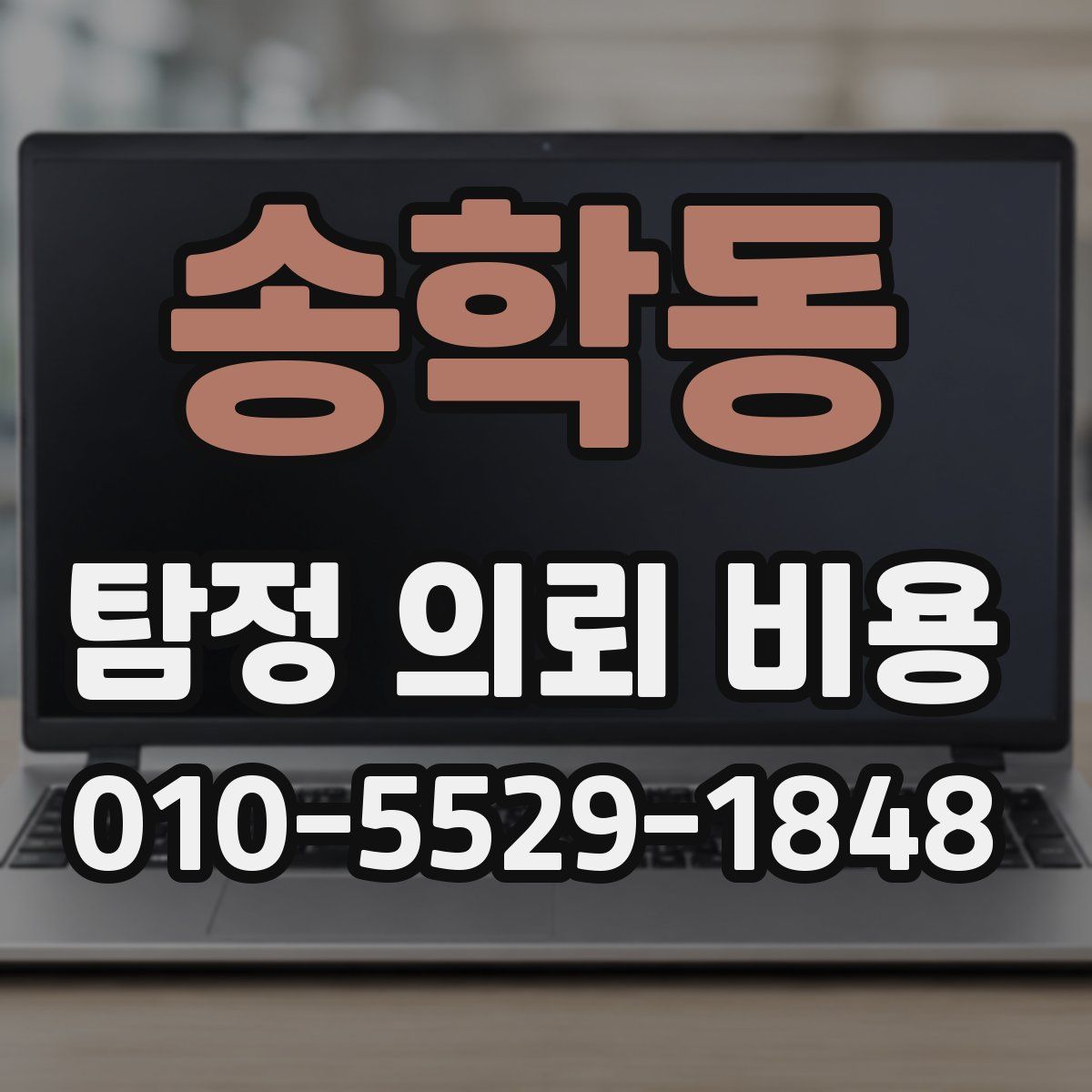 송학동 탐정 의뢰 비용