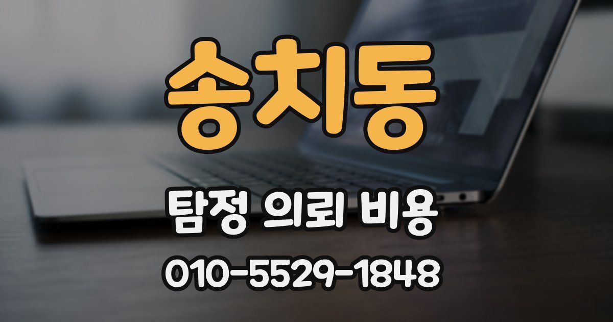 송치동 탐정 의뢰 비용