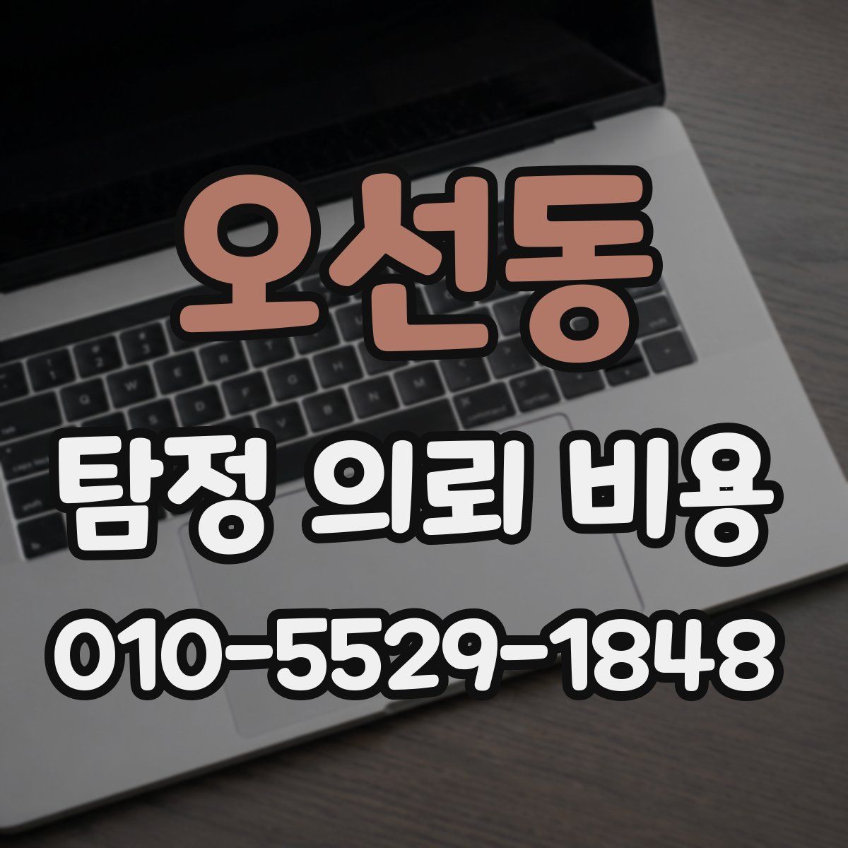 오선동 탐정 의뢰 비용