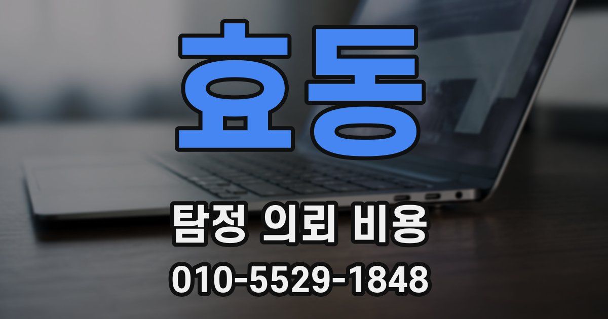 효동 탐정 의뢰 비용