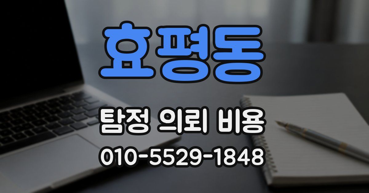효평동 탐정 의뢰 비용