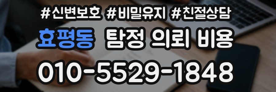 효평동 탐정 의뢰 비용