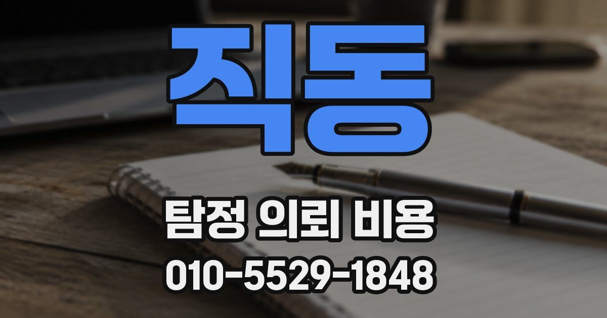 직동 탐정 의뢰 비용