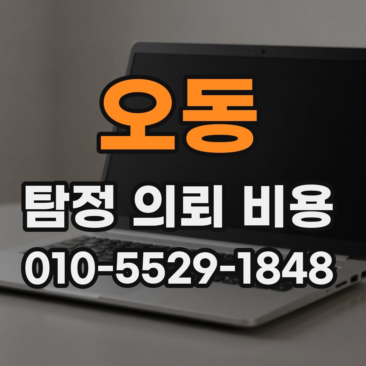 오동 탐정 의뢰 비용