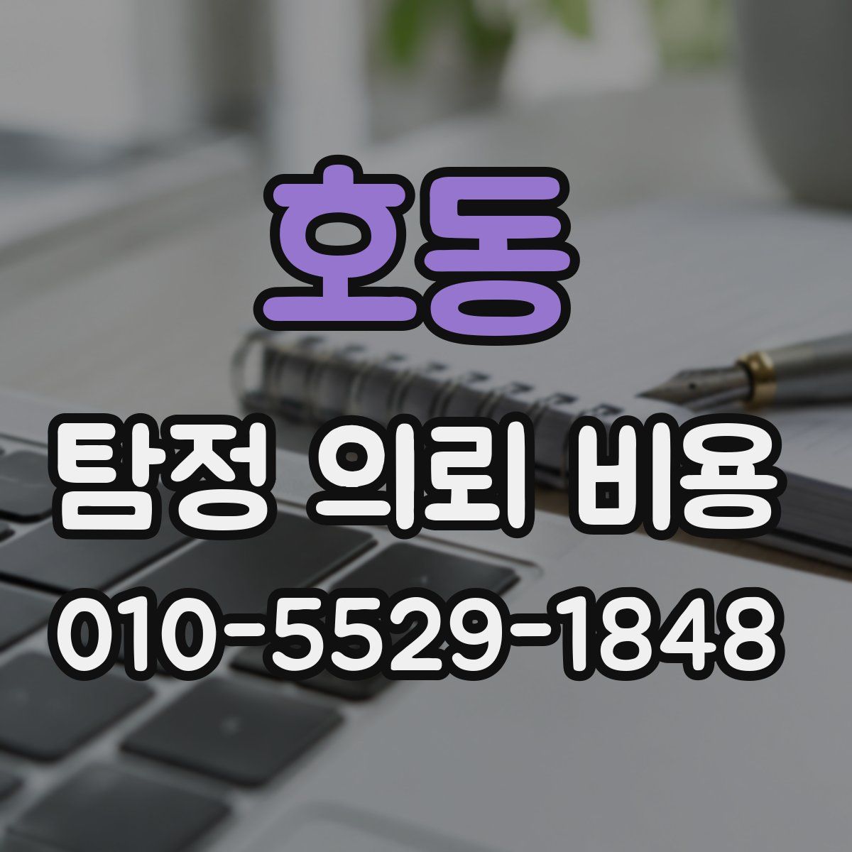 호동 탐정 의뢰 비용