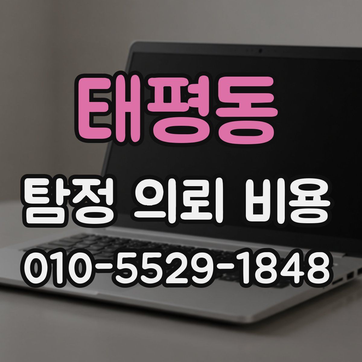 태평동 탐정 의뢰 비용