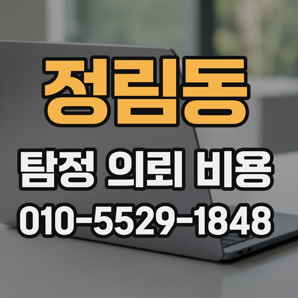 정림동 탐정 의뢰 비용