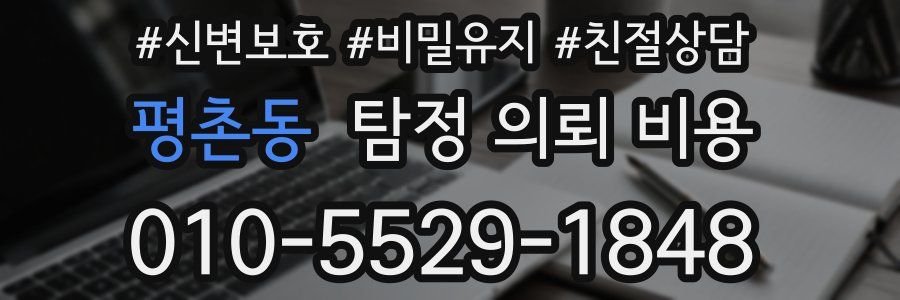 평촌동 탐정 의뢰 비용