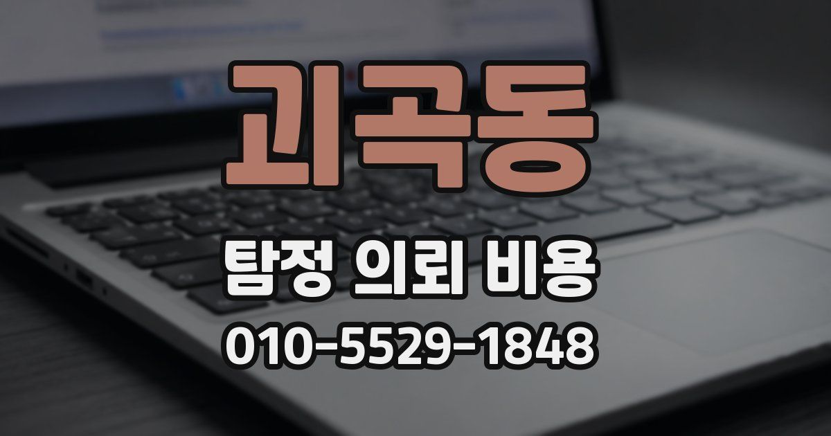 괴곡동 탐정 의뢰 비용