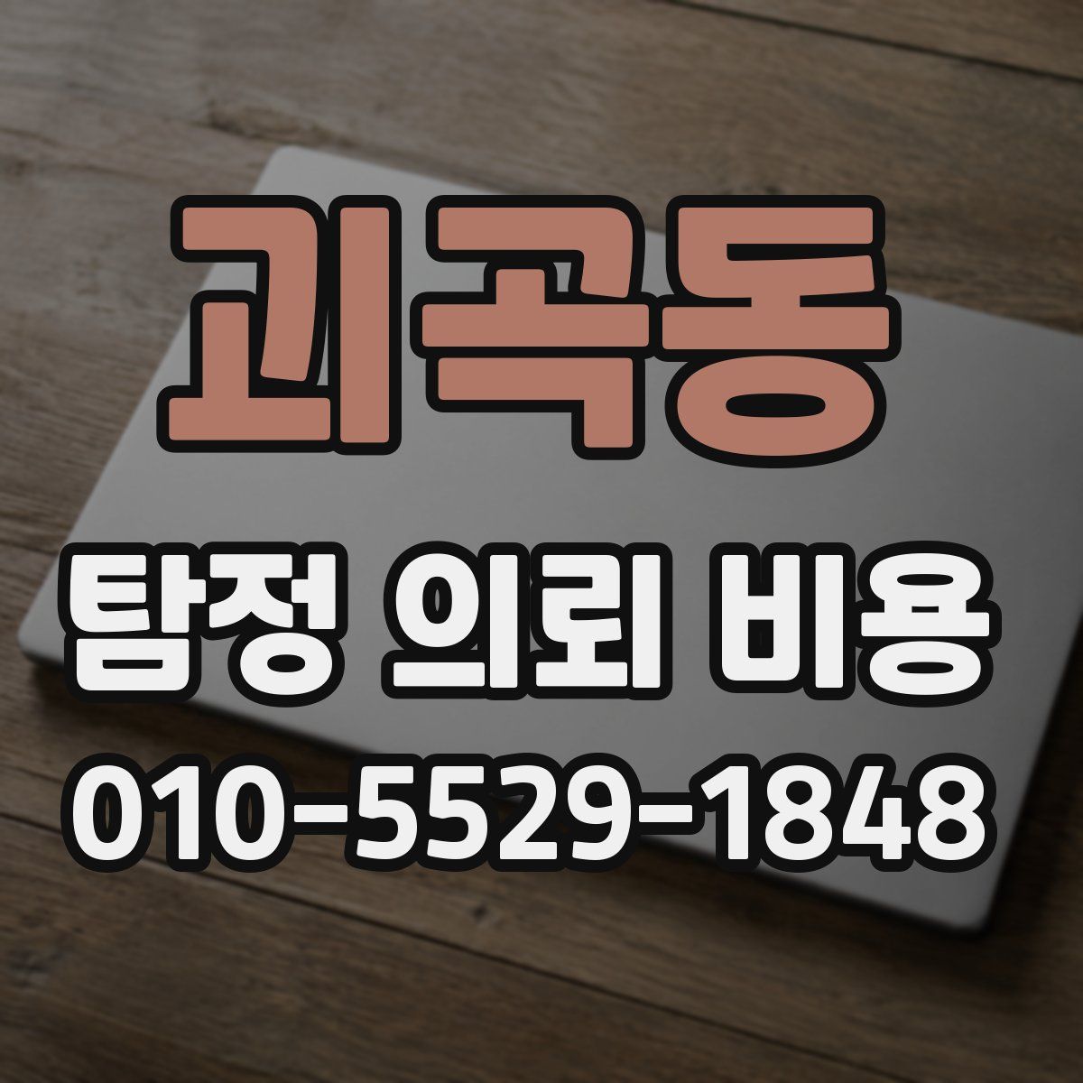 괴곡동 탐정 의뢰 비용