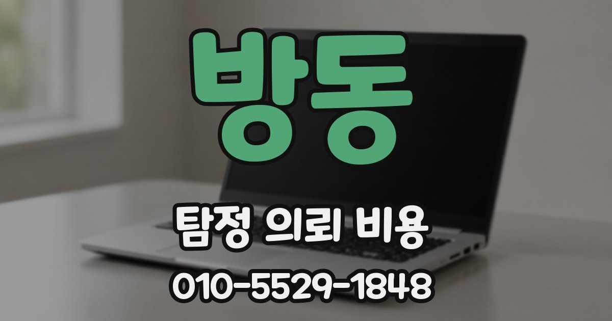 방동 탐정 의뢰 비용