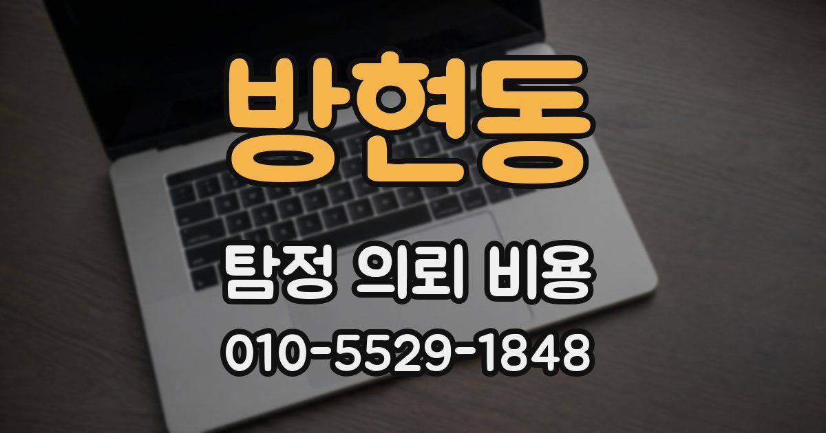 방현동 탐정 의뢰 비용