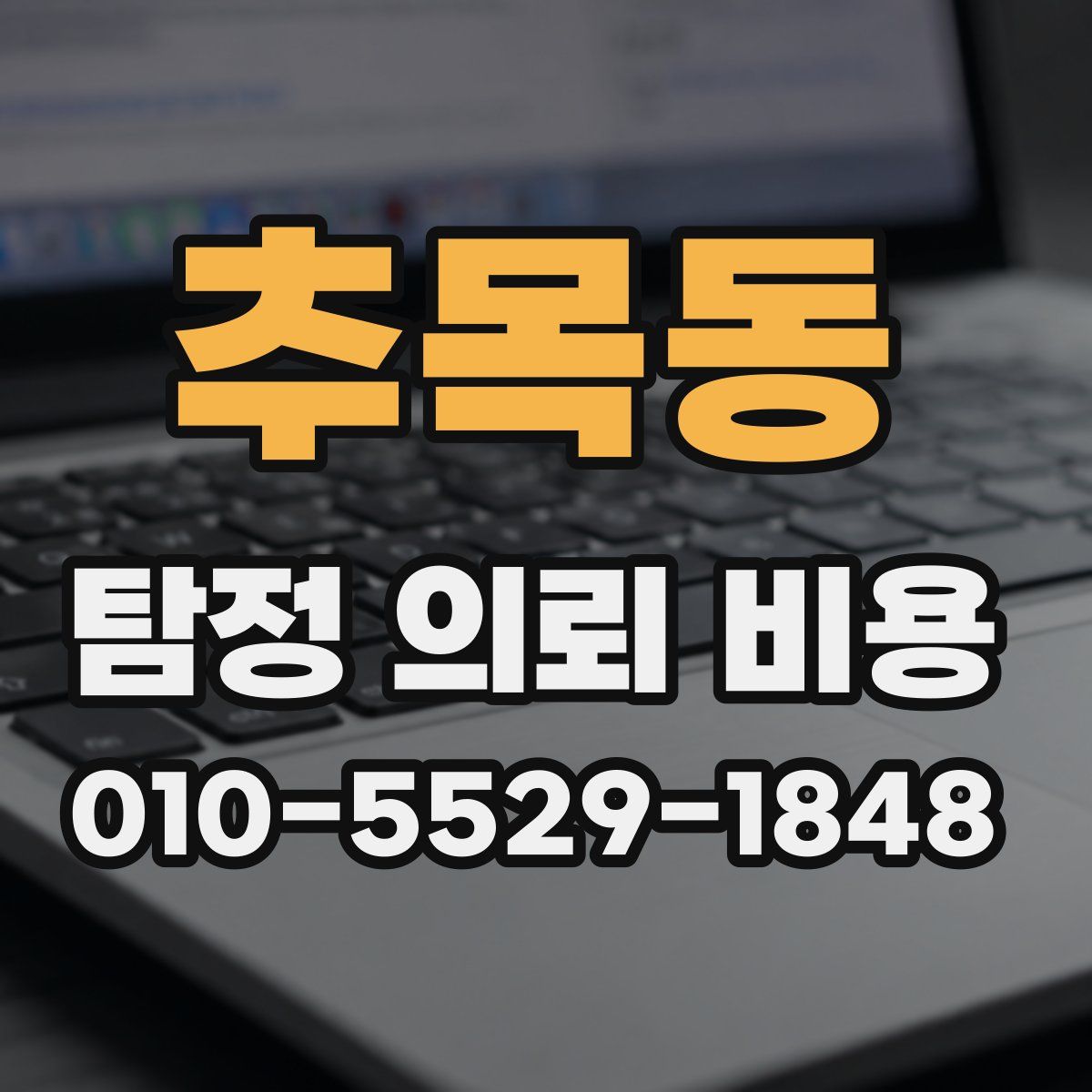 추목동 탐정 의뢰 비용