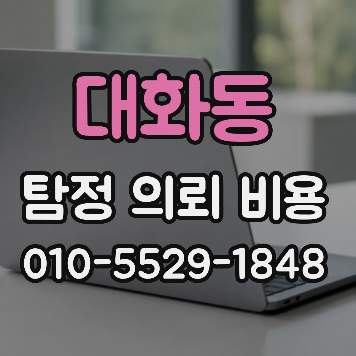 대화동 탐정 의뢰 비용