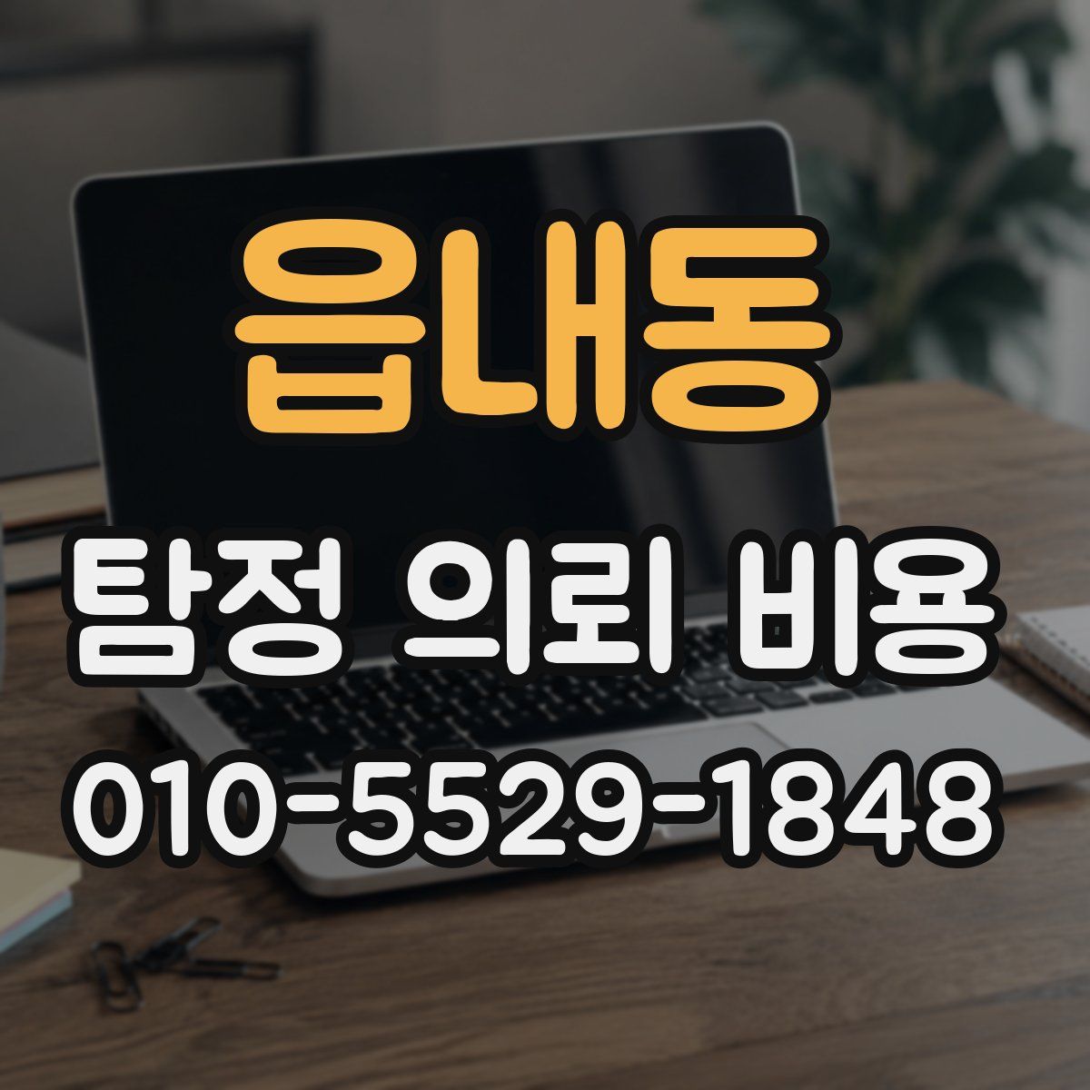 읍내동 탐정 의뢰 비용