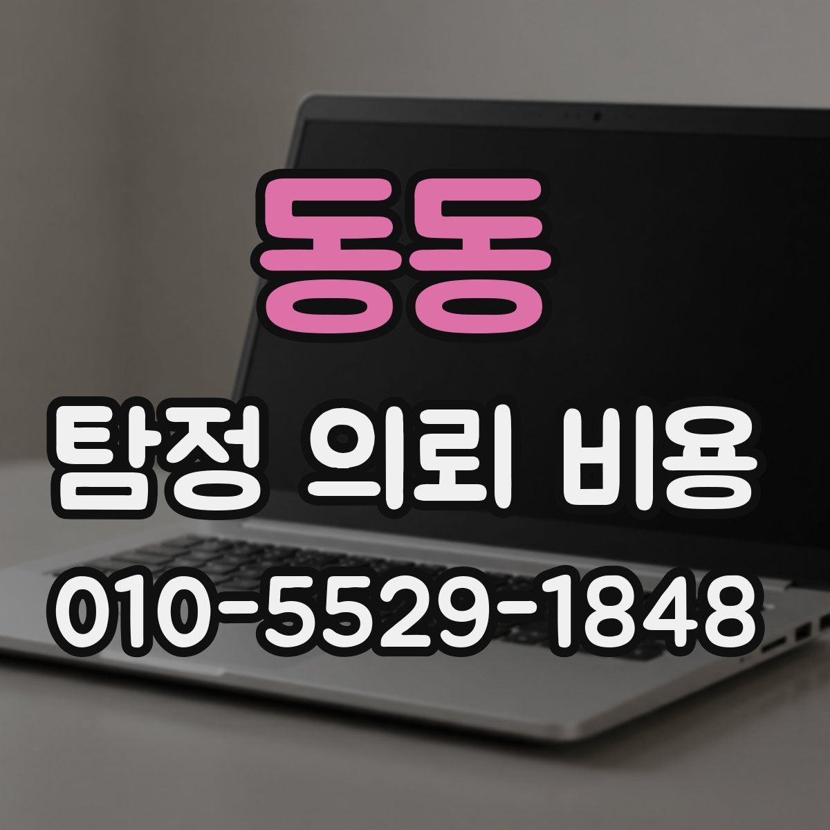 동동 탐정 의뢰 비용