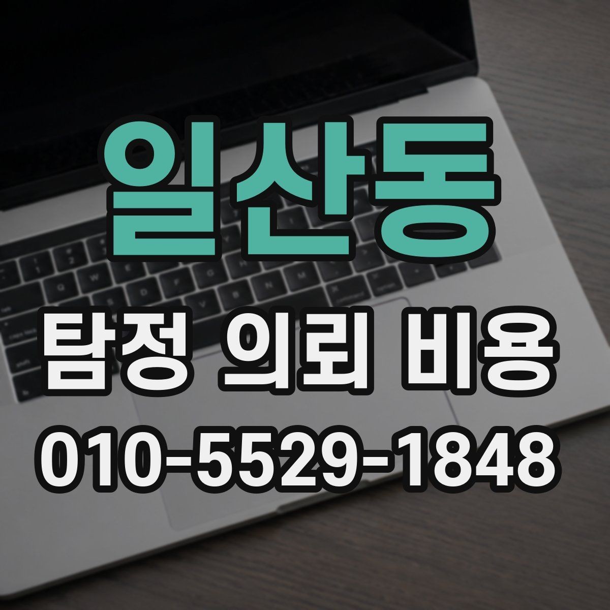 일산동 탐정 의뢰 비용 상담 경험담과 체크포인트