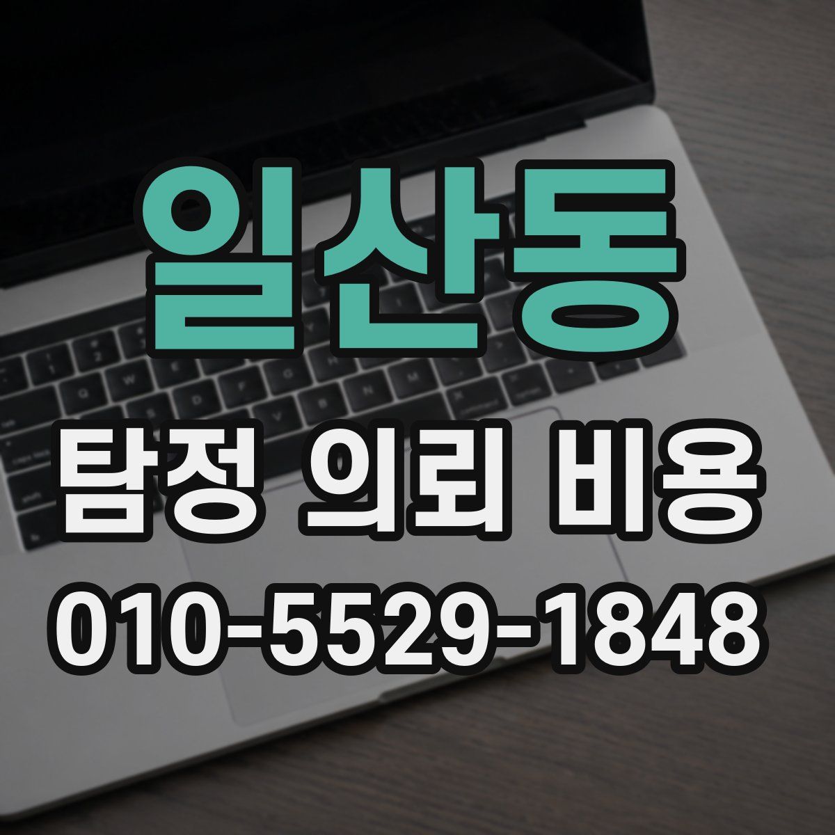 일산동 탐정 의뢰 비용