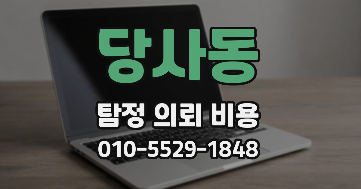 당사동 탐정 의뢰 비용