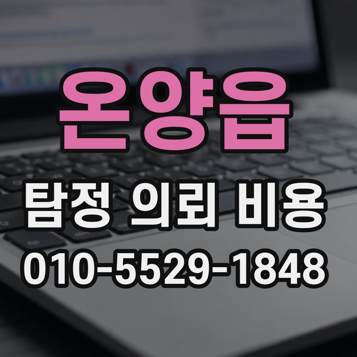 온양읍 탐정 의뢰 비용