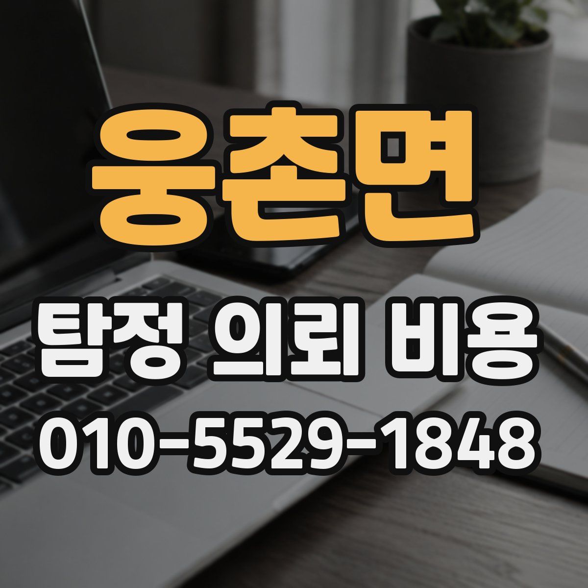 웅촌면 탐정 의뢰 비용