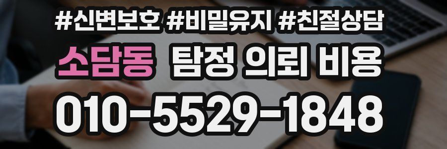 소담동 탐정 의뢰 비용