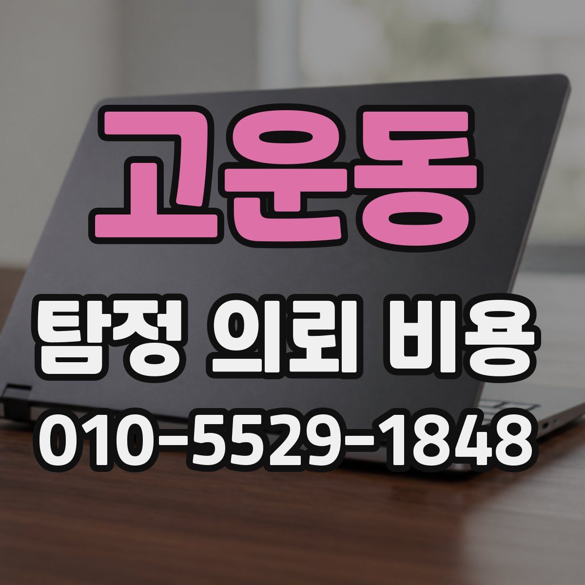 고운동 탐정 의뢰 비용