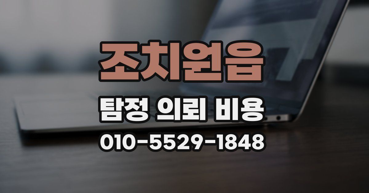 조치원읍 탐정 의뢰 비용