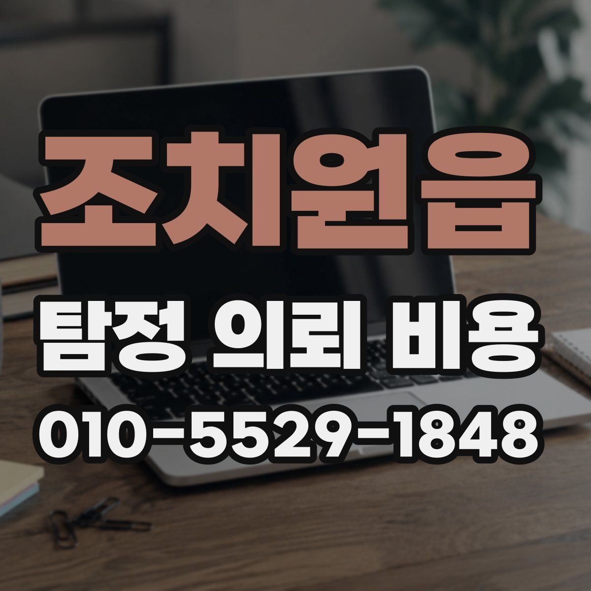 조치원읍 탐정 의뢰 비용