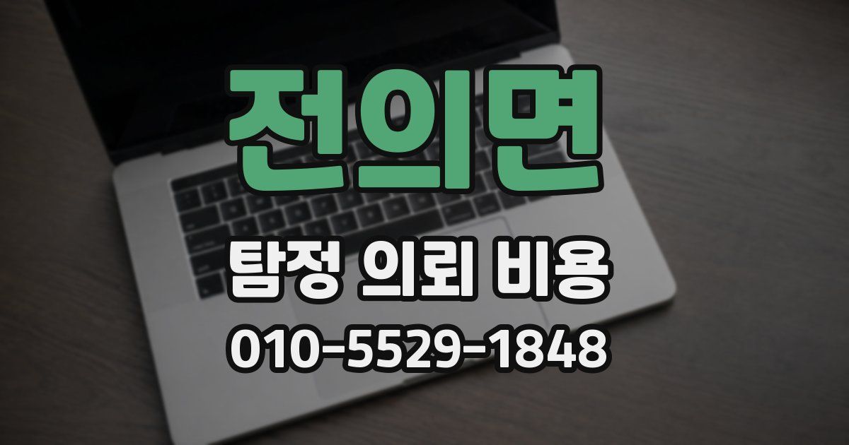 전의면 탐정 의뢰 비용