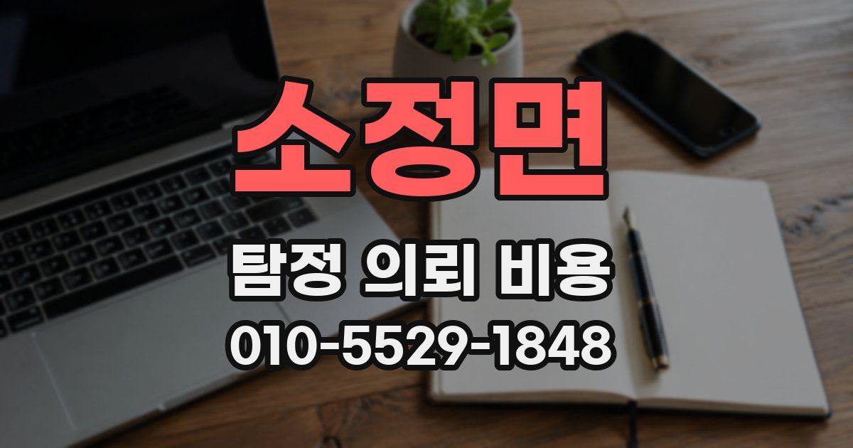 소정면 탐정 의뢰 비용