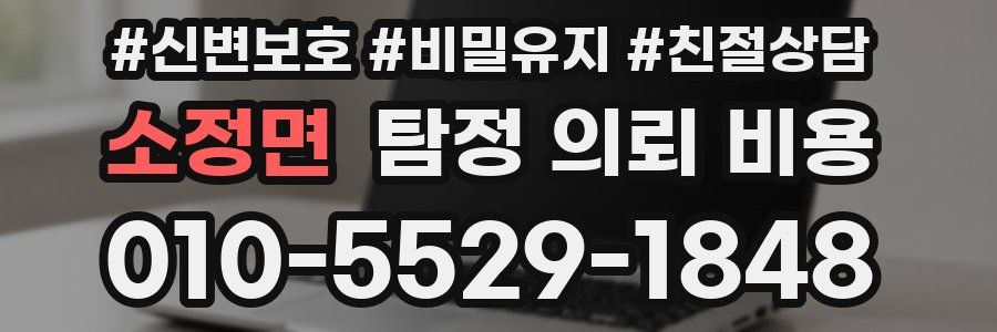 소정면 탐정 의뢰 비용