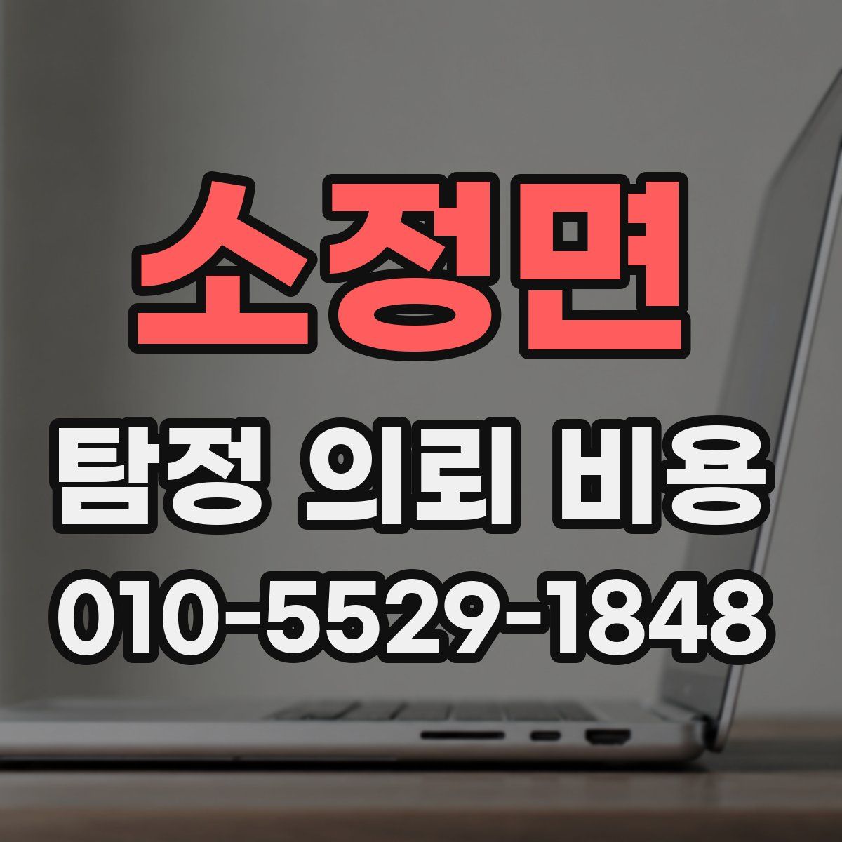 소정면 탐정 의뢰 비용