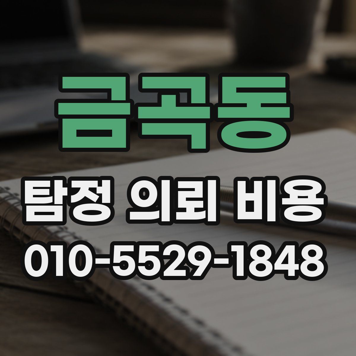금곡동 탐정 의뢰 비용