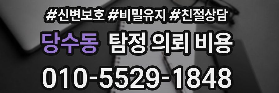 당수동 탐정 의뢰 비용