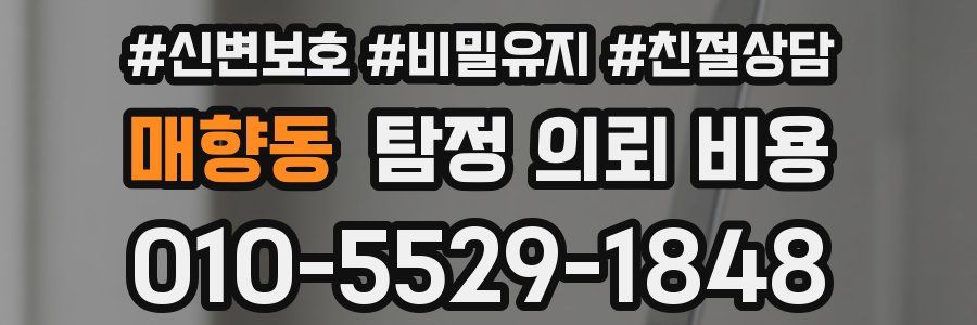 매향동 탐정 의뢰 비용